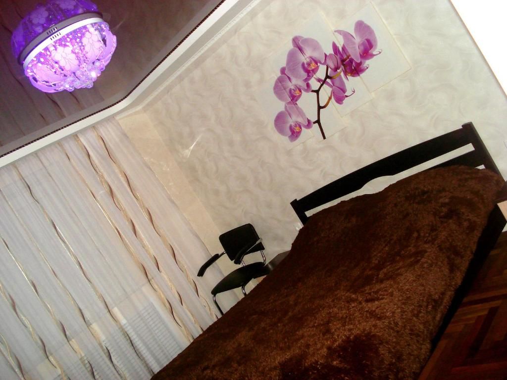 Апартаменты ART GALLERY Мелитополь-45